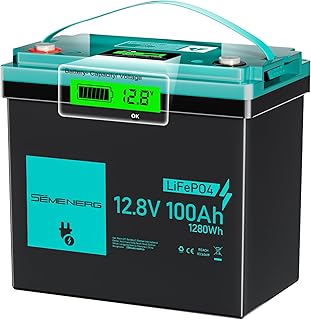 12V 100Ah LiFePO4 MINI Lithium Batterie mit LED, 100A Intelligente BMS & Max.15000 Zyklen, 12 Vol…