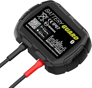 intAct Battery-Guard | Bluetooth-Batteriewächter für 12V Batterien | kompatibel mit Bleibatteri…