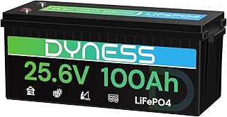 Dyness 24V 100Ah LiFePO4 Lithium Batterie mit Integriertem 100A BMS, ideal für 24V Trolling-Moto…