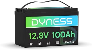 Dyness LiFePO4 12V 100Ah Lithium Batterie mit 100A BMS, Niedertemperaturschutz, Max.15000 Zyklen,…