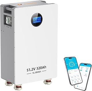 48V 320Ah LiFePO4 Batterie 16,384 kWh Stromspeicher und Leistungsschaltern 200A BMS RS485/CAN/RS2…