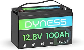 Lithium Batterie 12V 100Ah LiFePO4 Akku mit 100A BMS, Niedertemperatur-Abschaltung, Max 15000 Zyk…