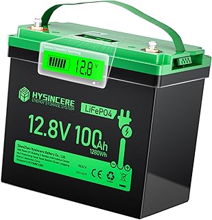 12V 100Ah LiFePO4 MINI Lithium Batterie mit LED, Max.15000 Zyklen & 100A Intelligente BMS, 12 Vol…